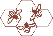 Bees Honeycomb