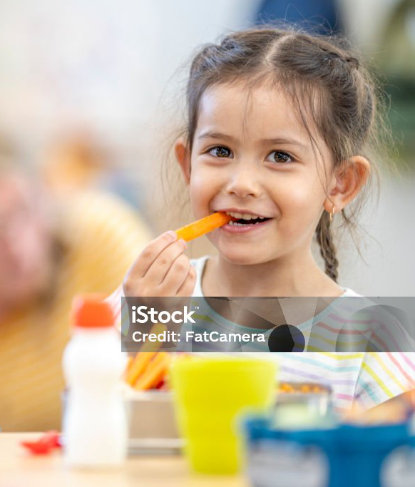 Istockphoto 1431057054 1024x1024 Crop