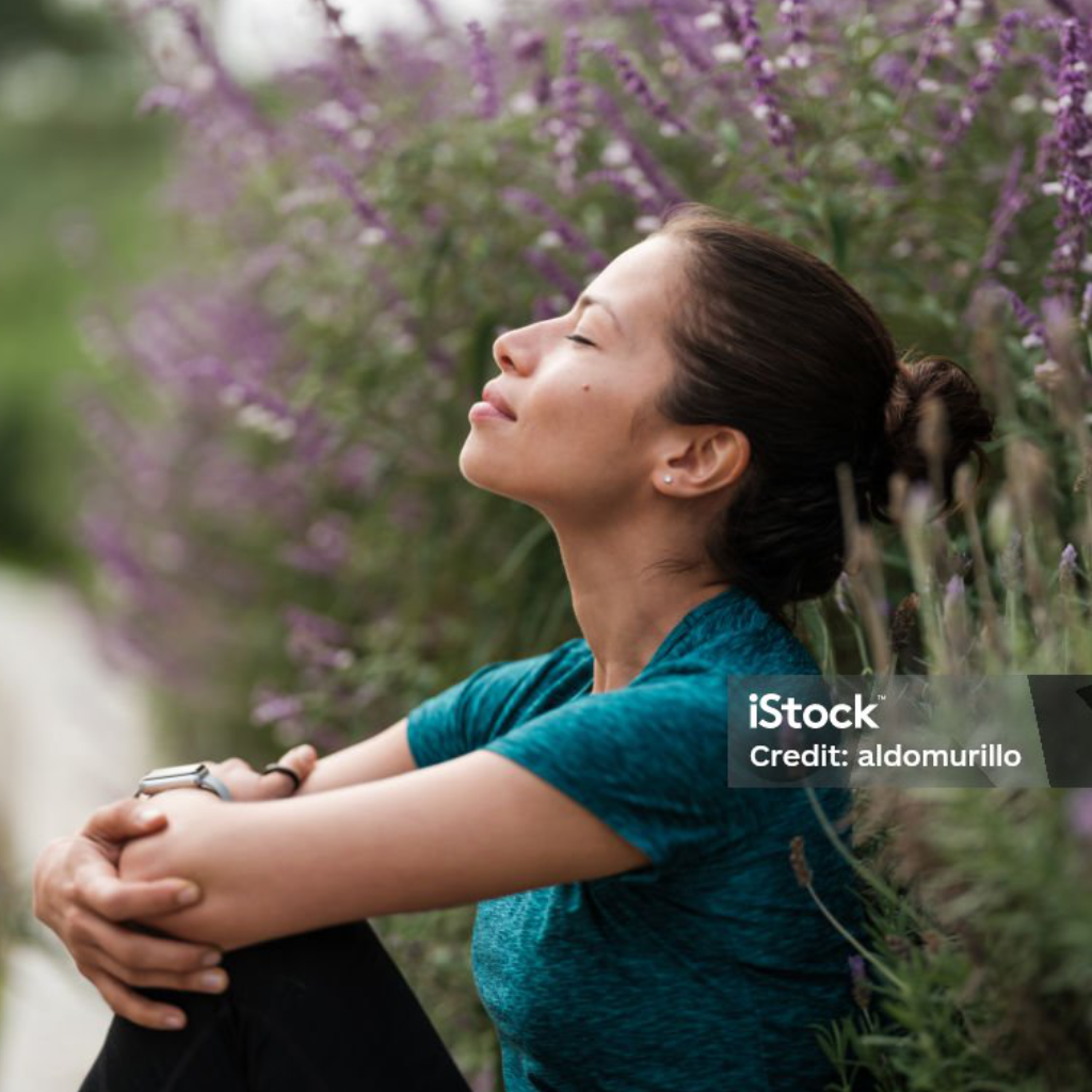 Meditate